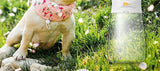 Portable Pet Water Bottle